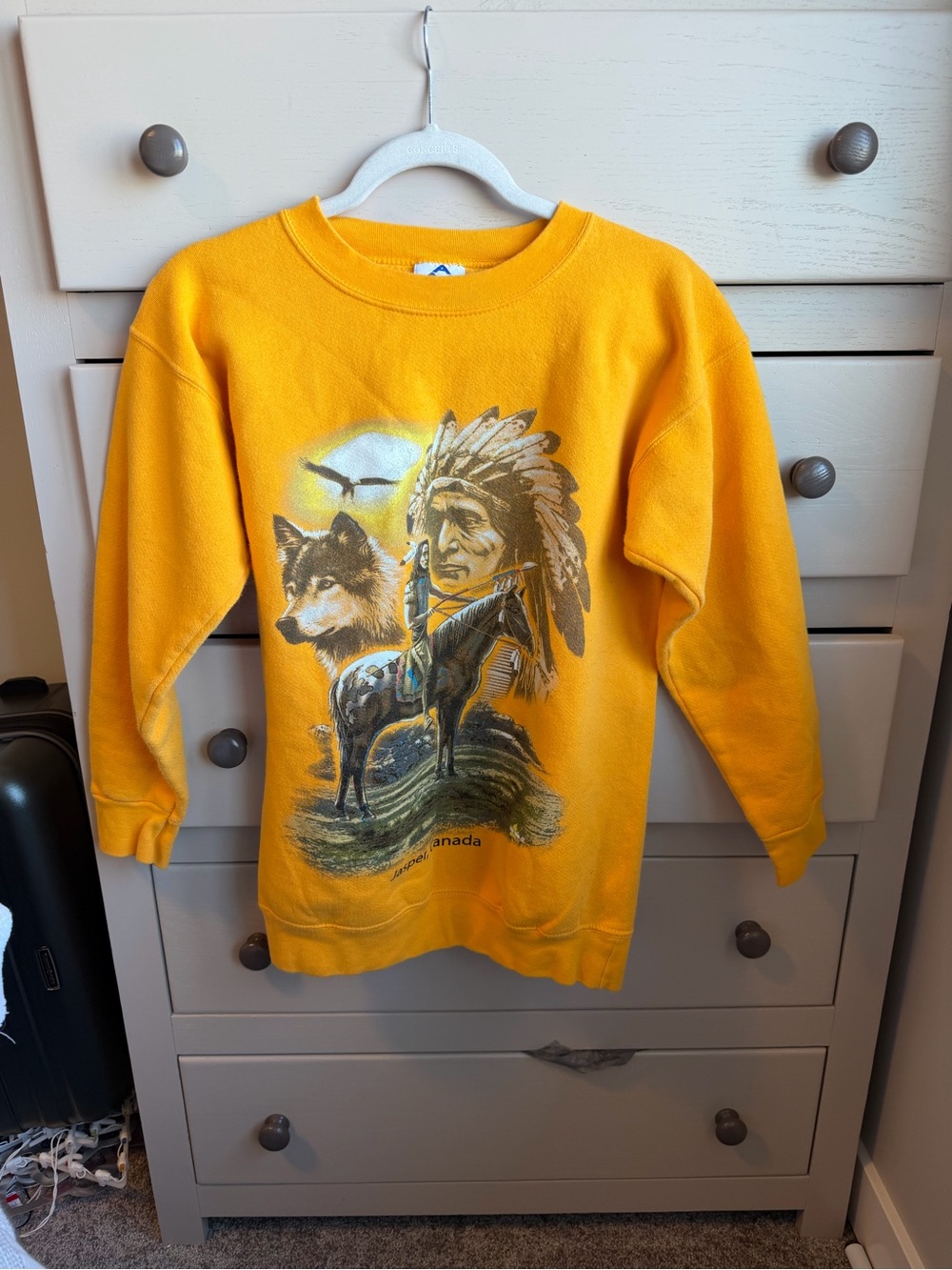 Vintage Jasper National Park Tourist Sweatshirt, indigenous design